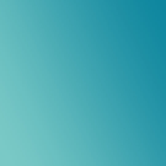 EERN lidkaart Step & Partyrobics - JANUARI-JUNI 2025